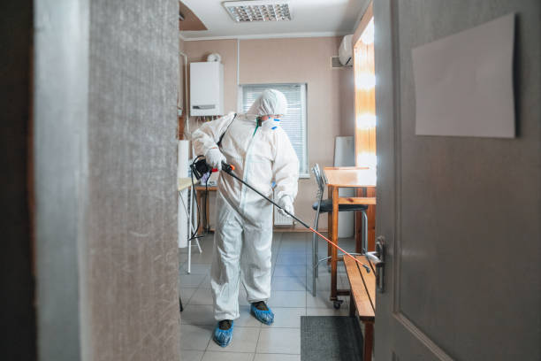 Best Asbestos and Lead Testing During Mold Inspection  in Hillside Lake, NY